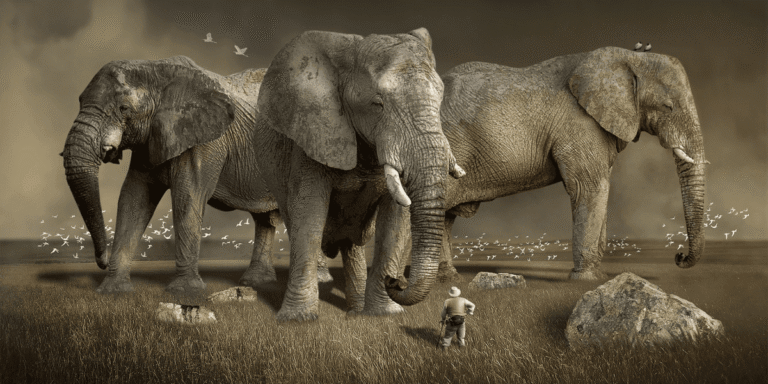 state-hadoop.png